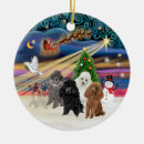 Search for black poodle ornaments Pets