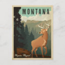 Search for montana postcards Anderson design group
