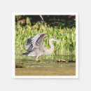 Search for blue heron napkins Animal