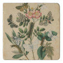 Search for trivets Animals