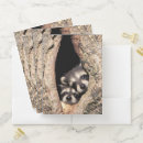 Search for wild creature office supplies raccoon