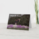 Search for moose birthday cards Humor