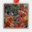 Search for denali national park ornaments Usa