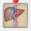 Search for transplant ornaments Medical