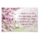 Search for bible verse with rose art Elegant