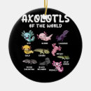 Search for axolotl ornaments Kawaii