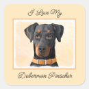 Search for doberman stickers Dobie