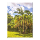 Search for palm canvas prints palm tree photo