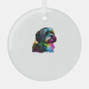 Search for havanese ornaments Animal