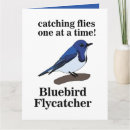 Search for bluebird cards Nature