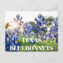 Search for flower postcards Blue flowers