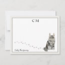 Search for maine Cat