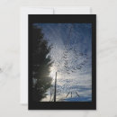 Search for zen cards Spirituality