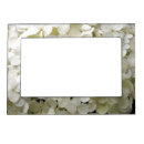 Search for hydrangea picture frames Botanical