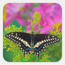 Search for blue butterfly stickers Yellow