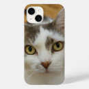 Search for iphone 12 cases Modern