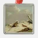 Search for duck ornaments Winter