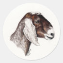Search for goat stickers Pet