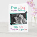 Search for from the dog birthday cards pet