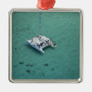 Search for fiji ornaments Clear