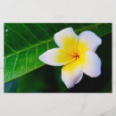 Search for tropical stationery paper Yellow