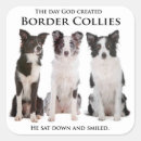 Search for collie stickers border