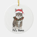 Search for gray cat ornaments Tabby