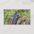 Search for wildlife photography business cards Nature