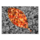 Search for stained glass posters Fall