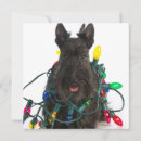 Search for scottish christmas cards Dog