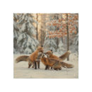 Search for 8x8 posters Nature