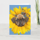 Search for puggle gifts Puppies