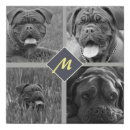 Search for pet collage canvas prints Modern