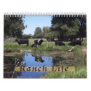 Search for cow calendars Livestock