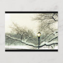 Search for central park postcards Photography