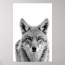 Search for art Animal