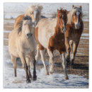 Search for horse tiles Herd