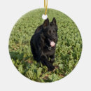 Search for german shepherd decor Black