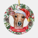 Search for whippet ornaments Watercolor