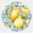 Search for lemon stickers Watercolor