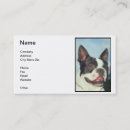Search for boston terrier business cards dog