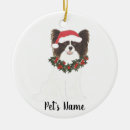 Search for papillon ornaments Watercolor