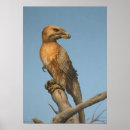 Search for dinosaur art Paleoart