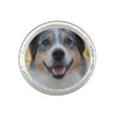 Search for rings Dog