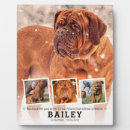 Search for unique pet memorials Photo collage