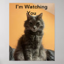 Search for vintage cat pictures posters Photography
