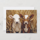 Search for country postcards Cow