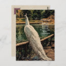 Search for peacock quote cards stamps Elegant