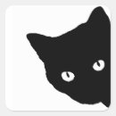 Search for cat stickers Kitten