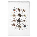 Search for cool calendars Women